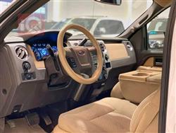 فۆرد F-150